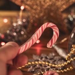 Cannes à sucre - Votre marché de Noël